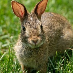 Meet your Posher, Jan